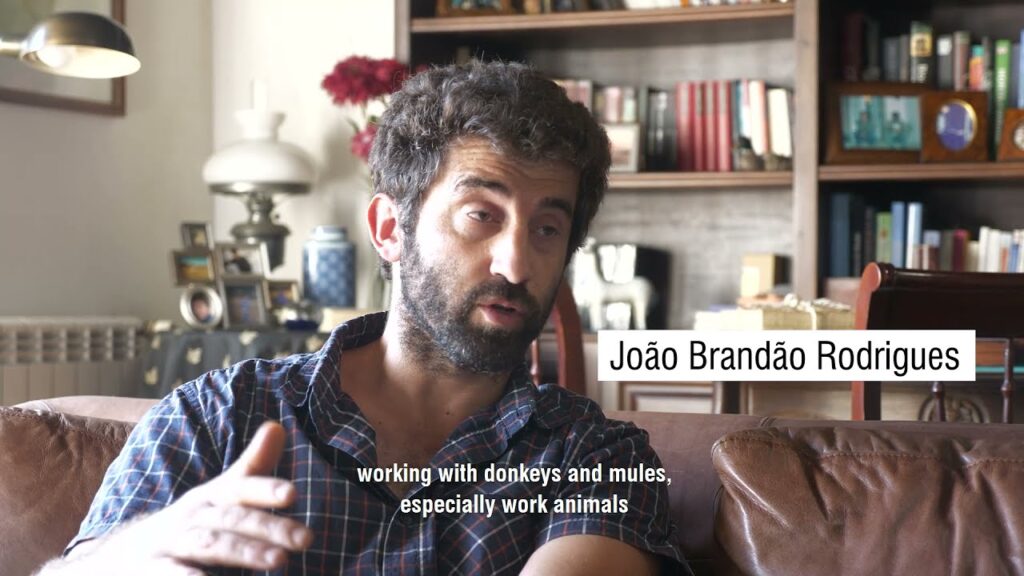 [a fibra mudou a minha vida] João Brandão Rodrigues, Paredes de Coura