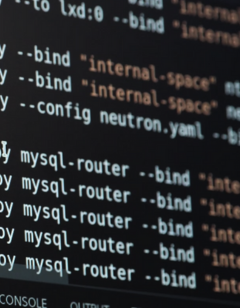 dstelecom Netedge
