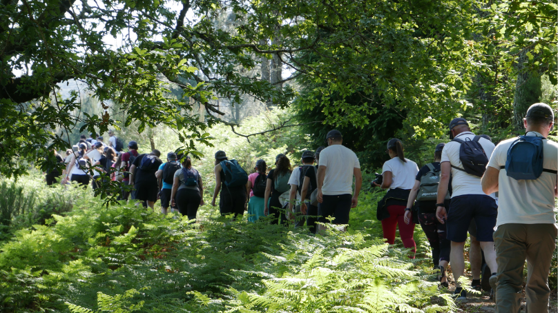 dstelecom teambuilding caminhada pelos trilhos